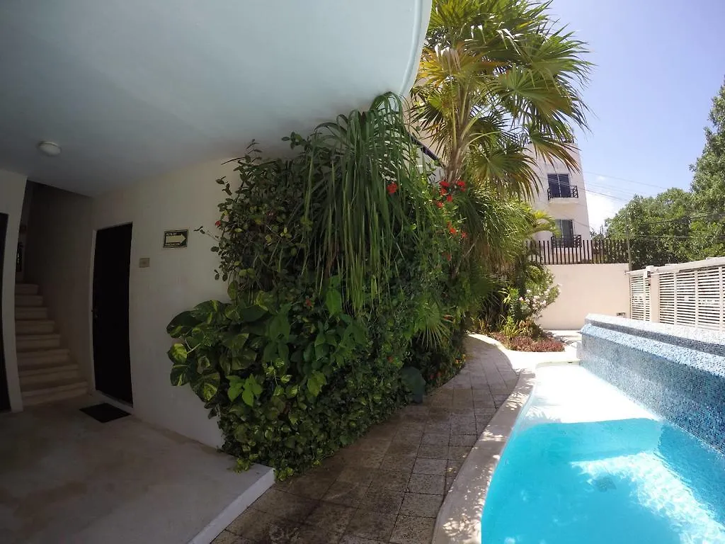 Condominio Allegro Playa del Carmen 0*,